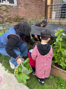Educadora y niños cosechando acelga en la huerta