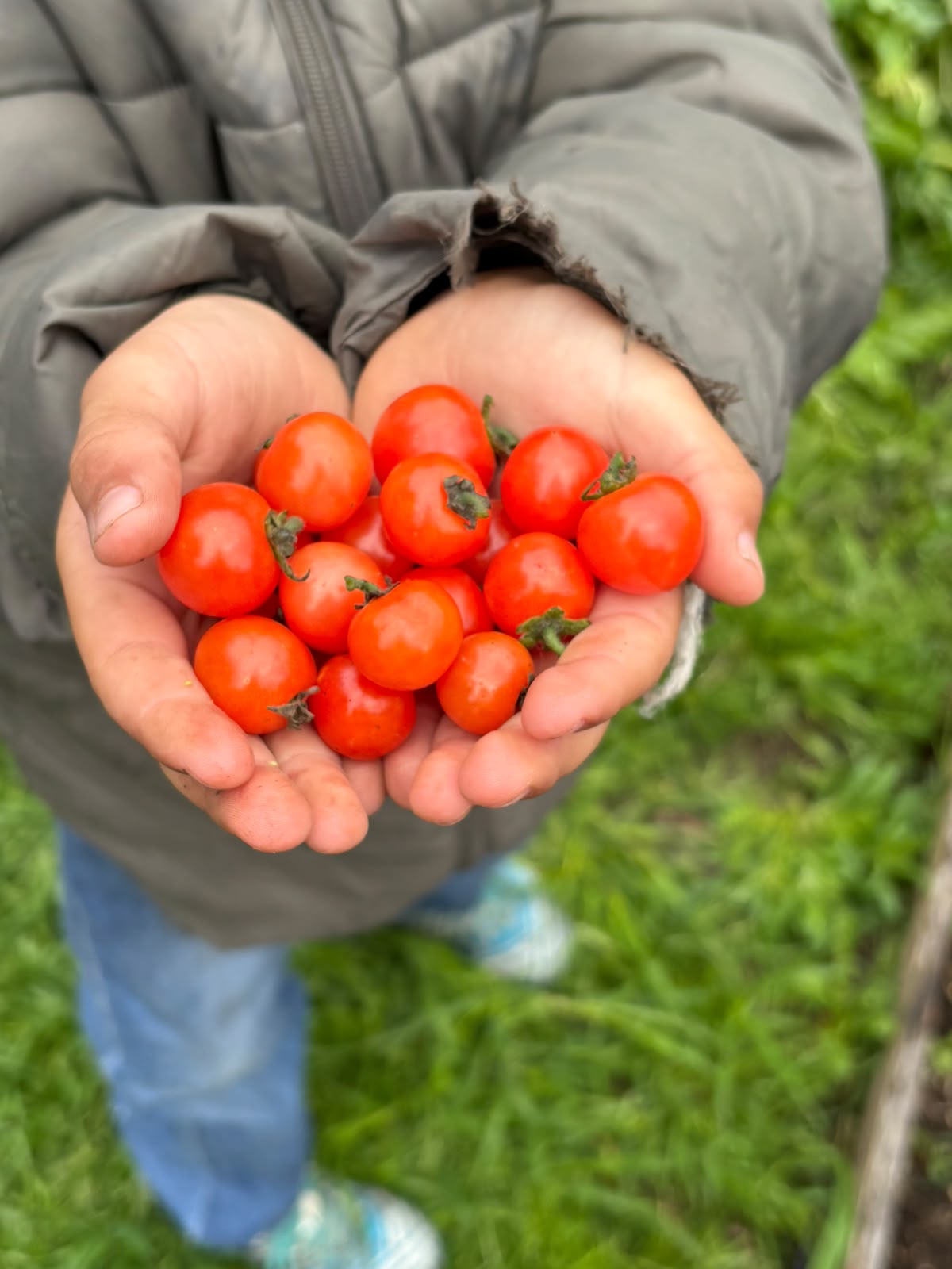 Taller de huerta