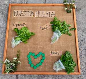 Cartel "Nuestra huerta" con espinaca, perejil y rúcula